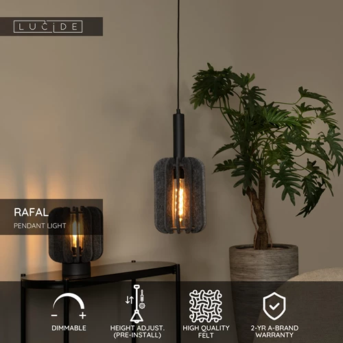 Lucide RAFAL - Pendant light - Ø 20 cm - 1xE27 - Grey - USP